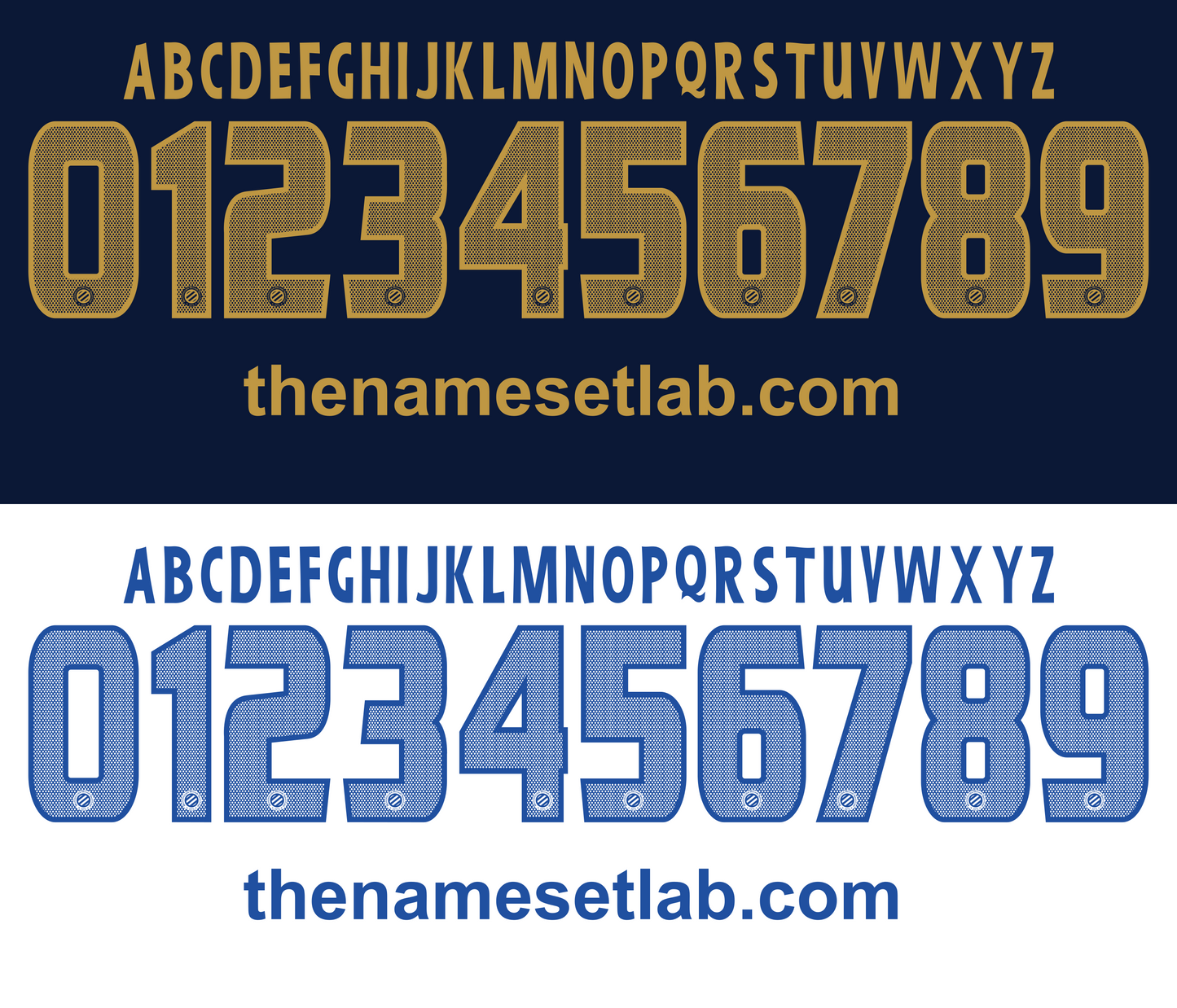 Montpellier HSC 2012–2013 Nameset mockup 
