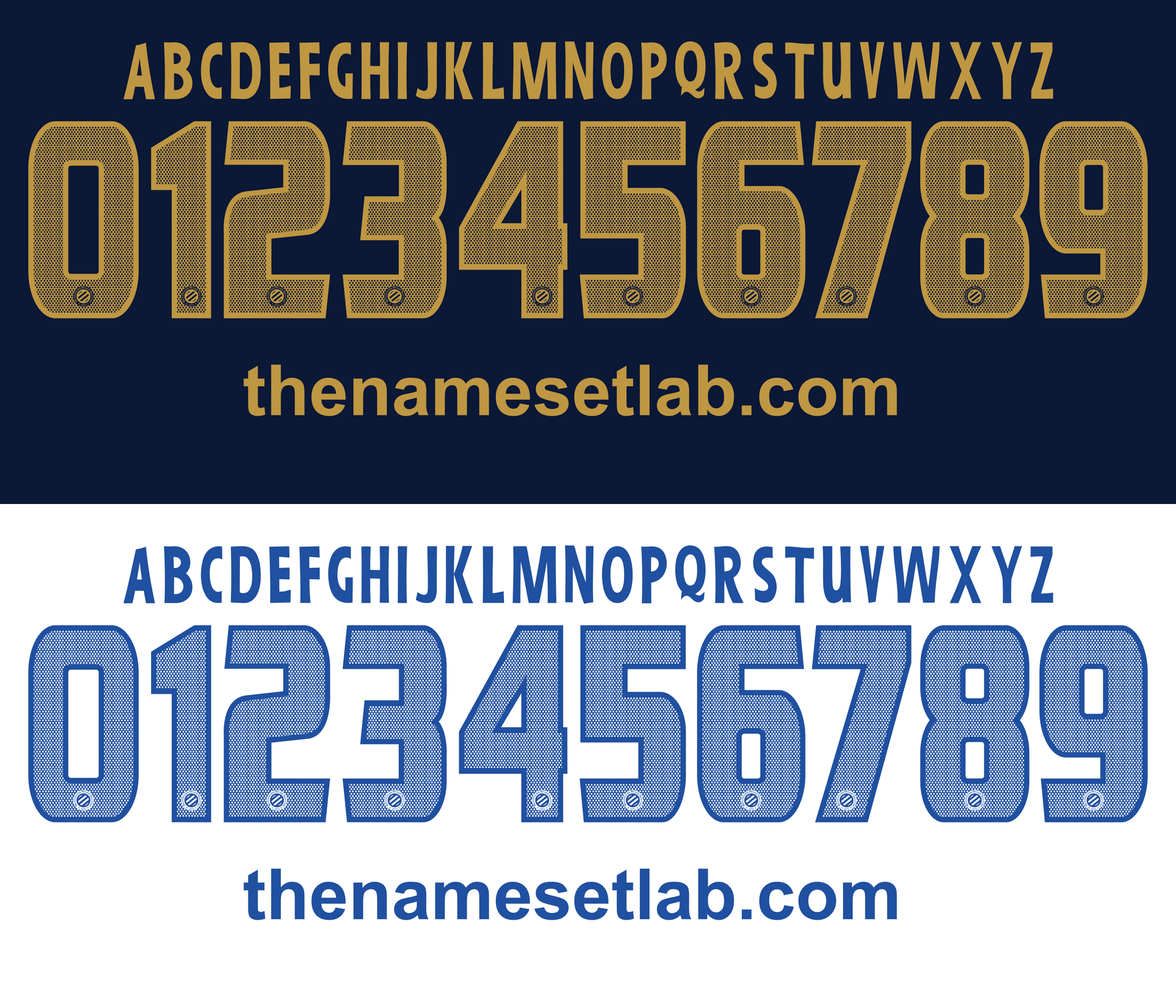 Montpellier HSC 2012–2013 Nameset mockup 