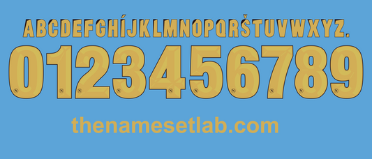 Napoli 2013-2014 Copaitalia Nameset AI Vector File