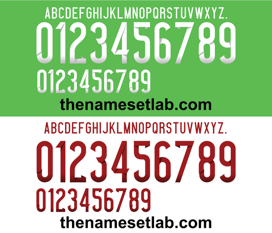 Nigeria 2014 Football Nameset AI Vector File