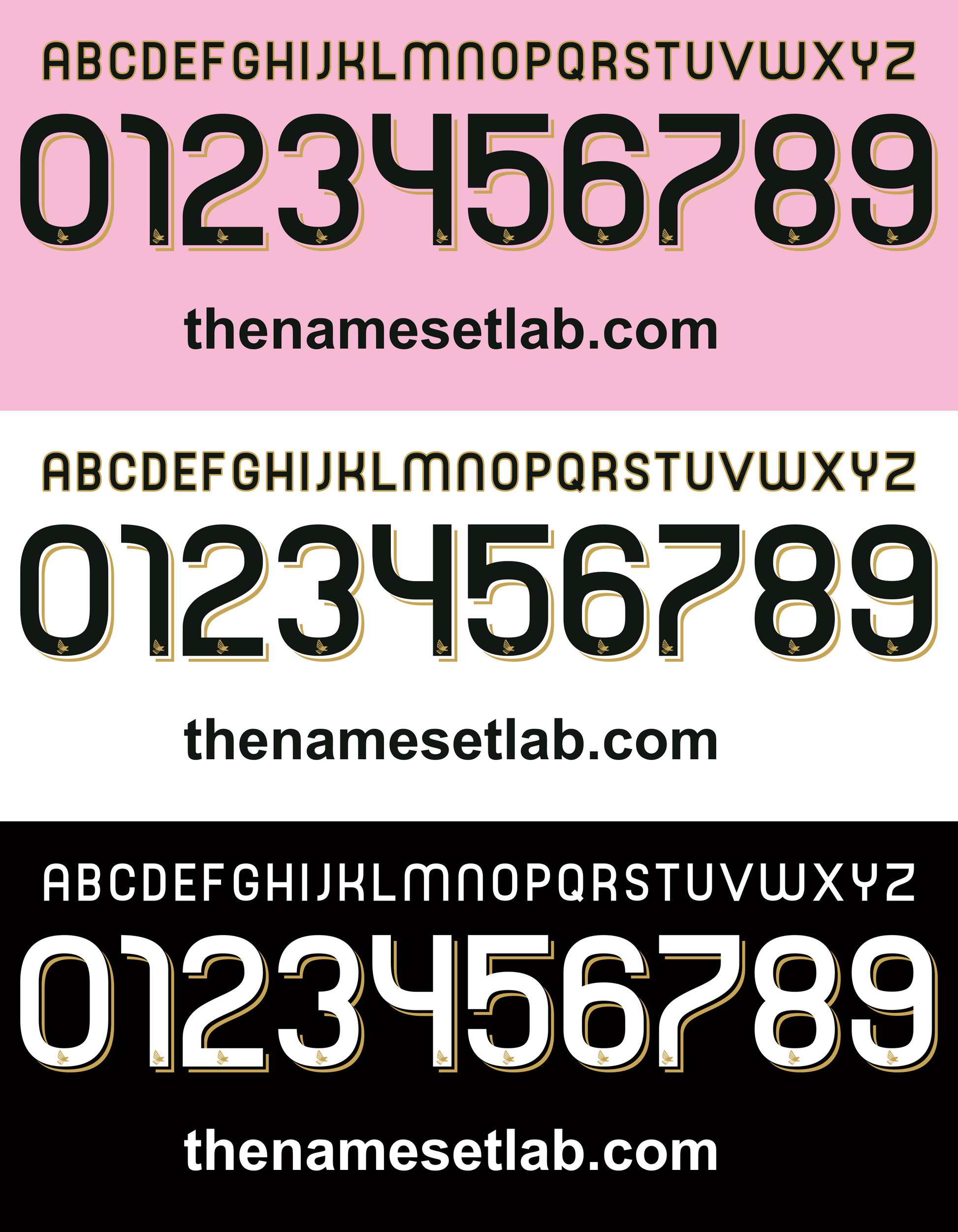Set of Palermo 2010-2011 Nameset numbers and letters on a pink, white, and black background with 'thenamesetlab.com' branding.