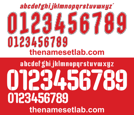 Poland 2008 Football Nameset AI Vector File