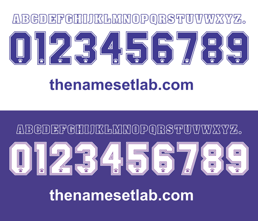 Real Madrid 1994-1996 Nameset