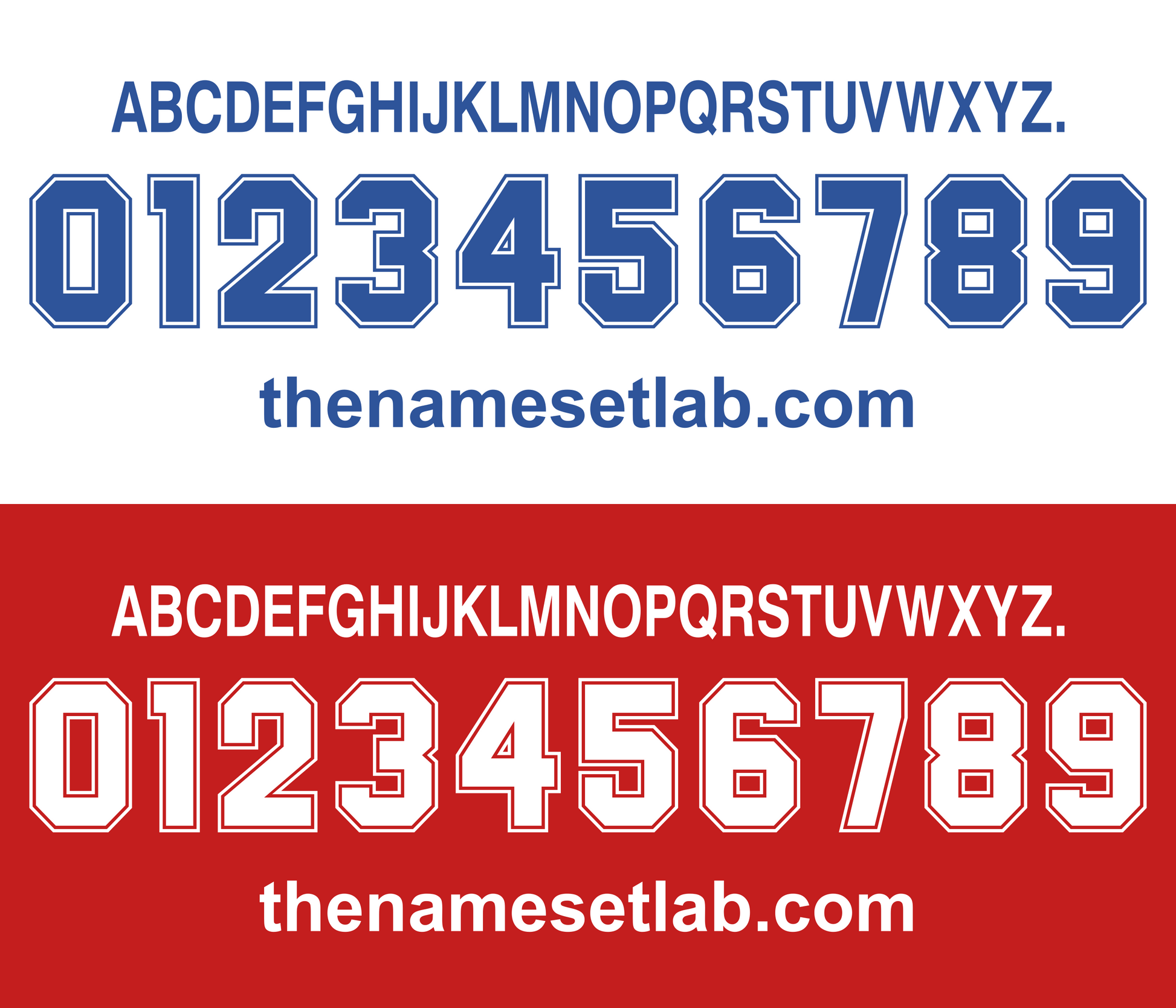 Real Zaragoza 1995-1996 Nameset Graphic
