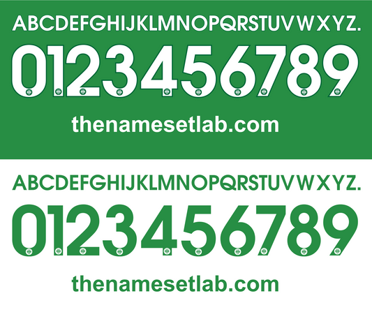 AS Saint-Étienne UEFA Europa League 2014–2015 Nameset Vector mockup 