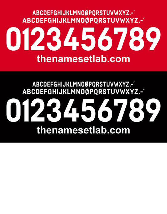 Southampton 2016-2017 Nameset AI Vector File