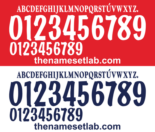 Spain 1998 Football Nameset AI Vector File