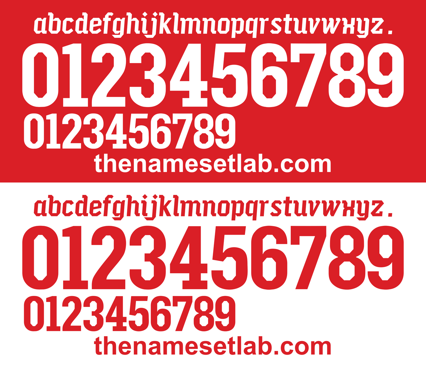Switzerland 2010 Football Nameset AI Vector File