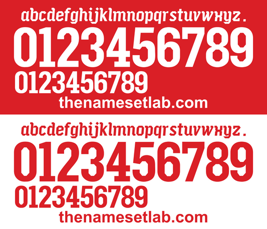 Switzerland 2010 Football Nameset AI Vector File